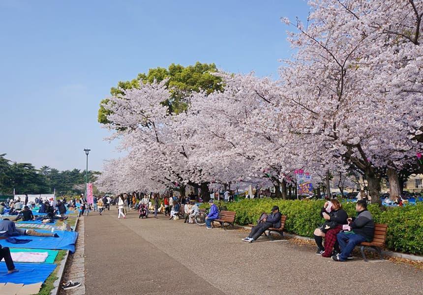 Tsuruma Park