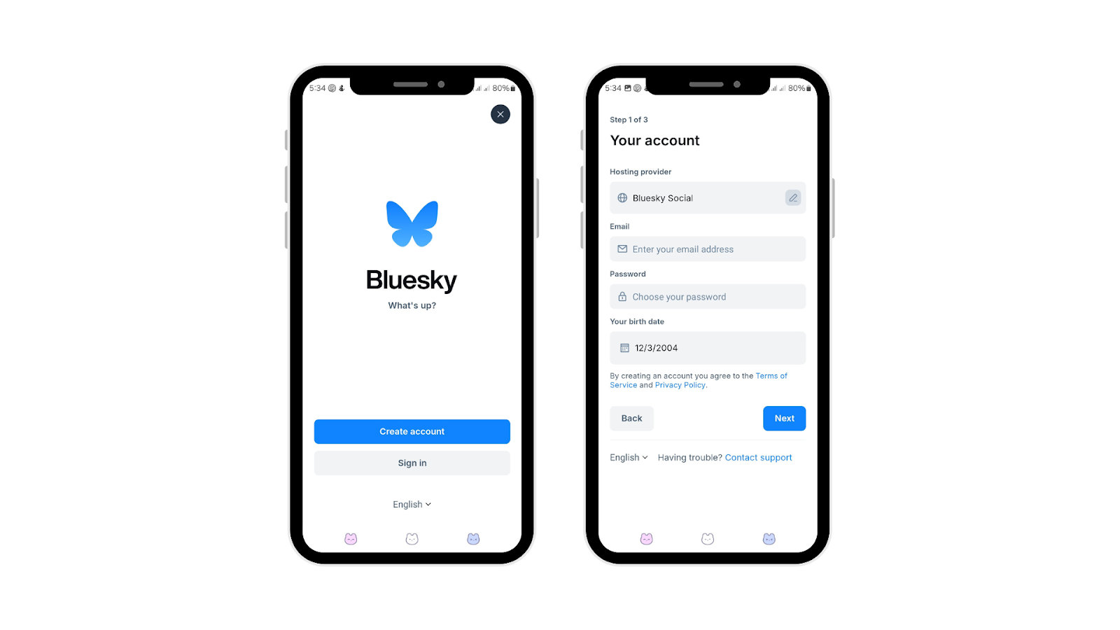 Bluesky app on mobile, showcasing the sign-up process and sleek interface for how to use Bluesky.