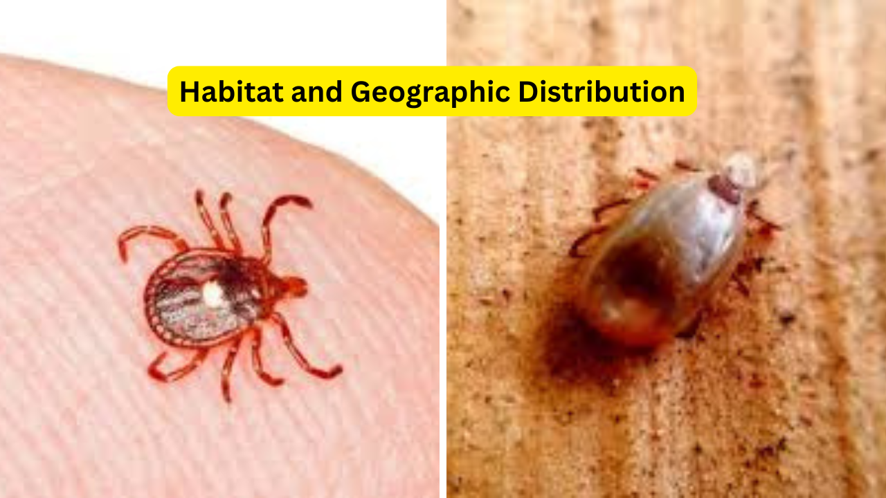 Habitat and Geographic Distribution