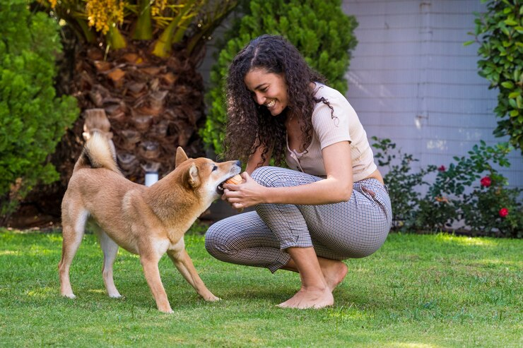 how to take care of a dog