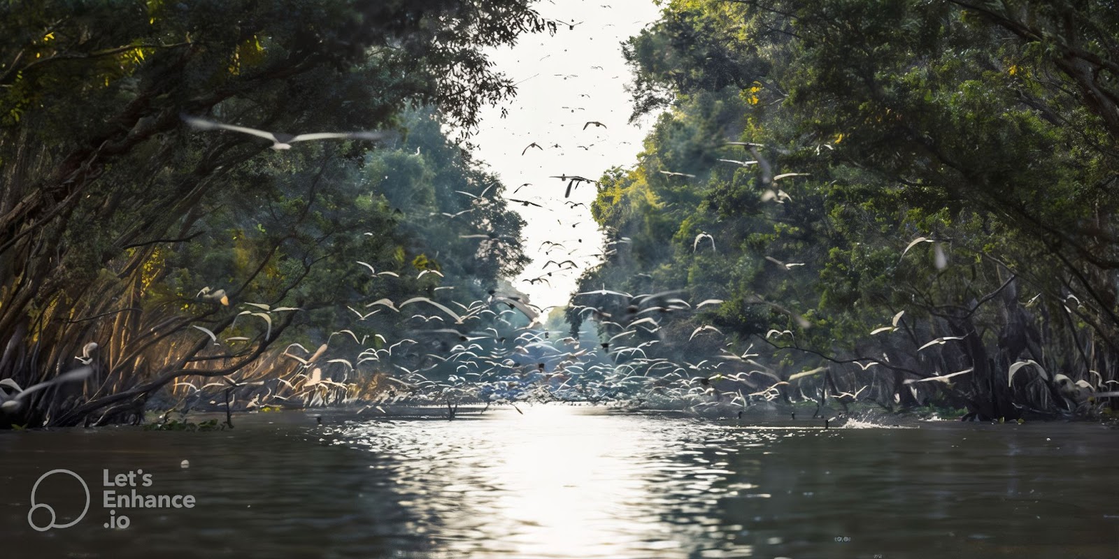 Tour miền Nam 