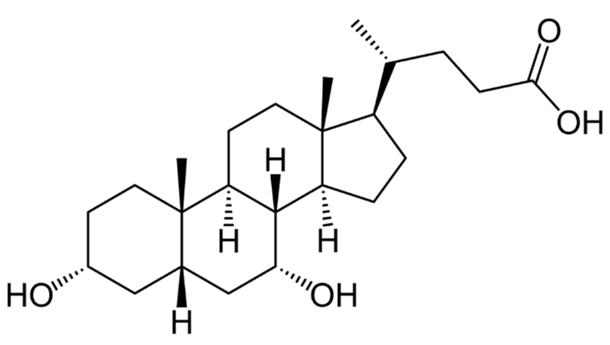 https://uchebnik.mos.ru/cms/system/atomic_objects/files/013/196/775/original/image031.png