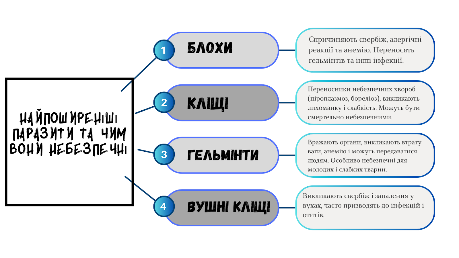 AD_4nXdKolOpGeR_trtHd6gfEX0rPU66_0572fOaNtLSC2pmGGxeWUKX3d7HKeo_eitAQI0G-IZgRRtt4ww3fmq41dqmTvl9lwJH_GHCAnnUl5TjPNvjEepT7mxgUQMoLSNRba3nM-k8Vg?key=qpKHxXLslT7b_3OYKg4bKsTI