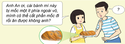 ÔN TẬP CHỦ ĐỀ NẤM
