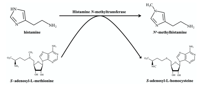 A diagram of a person's reaction

Description automatically generated