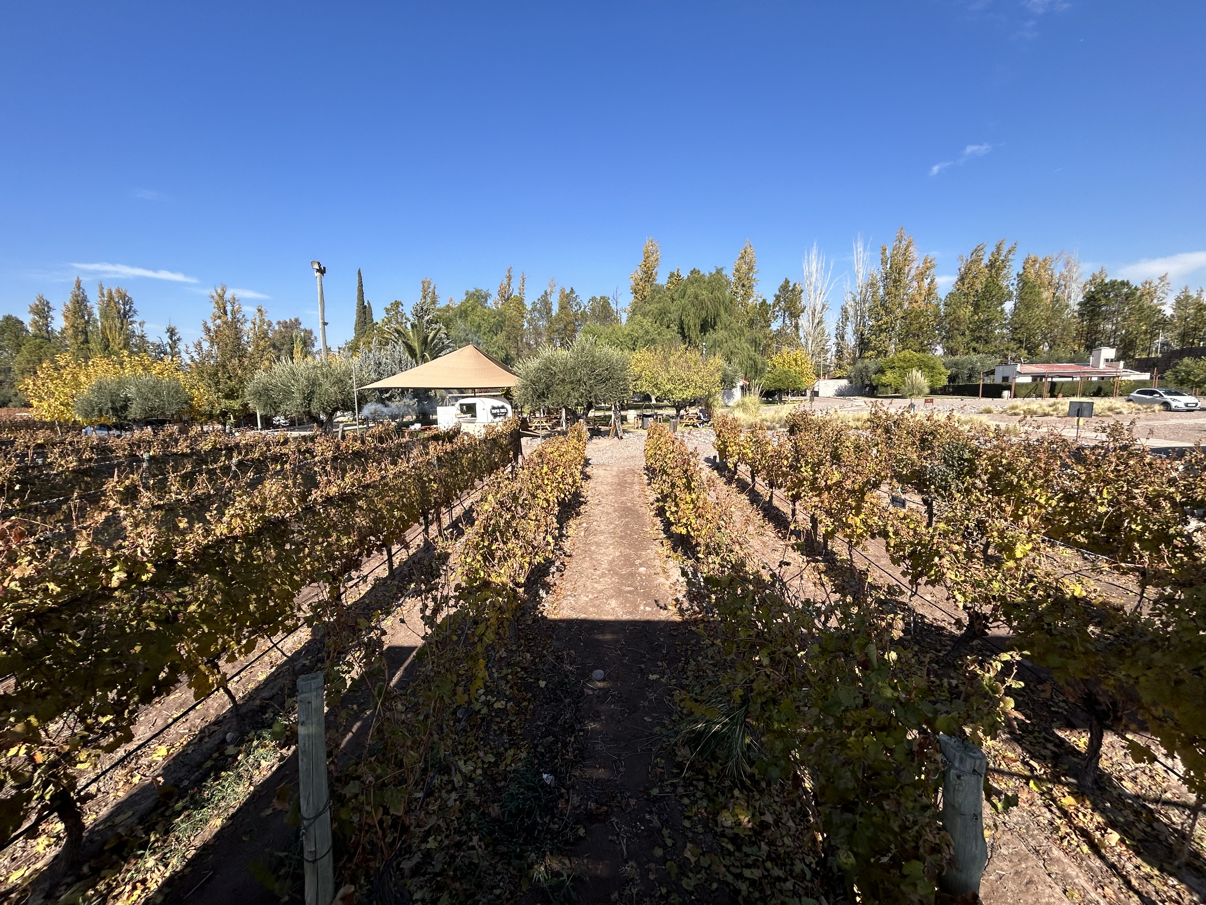 Mendoza, Argentina: roteiro de 5 dias na terra do Malbec