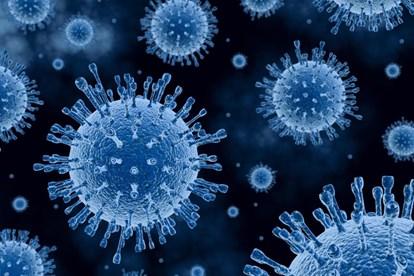 BÀI 31 - VIRUS GÂY BỆNHMỞ ĐẦUCâu 1: Khi người bệnh (do nhiễm virus) hắt hơi, virus theo hàng ngàn giọt bắn bay vào trong không khí và có khả năng lây truyền bệnh cho những người khác. Ngoài ra, virus còn có thể lây truyền qua nhiều con đường khác nhau. Để hạn chế sự lây truyền virus, chúng ta cần thực hiện những biện pháp gì?Giải nhanh:Để hạn chế sự lây truyền virus, có thể áp dụng các biện pháp sau:- Chăm sóc sức khoẻ bản thân và tăng cường hệ miễn dịch.- Tiêm vaccine đầy đủ theo quy định y tế.- Giữ gìn vệ sinh cá nhân và môi trường sống sạch sẽ.Căn cứ vào cơ chế lây truyền của từng loại virus, có thể áp dụng các biện pháp phòng chống khác nhau:- Đối với virus lây truyền qua đường hô hấp: Đeo khẩu trang, rửa tay thường xuyên, giữ khoảng cách an toàn khi tiếp xúc.- Đối với virus lây truyền qua đường tiêu hoá: Thực hiện ăn uống hợp vệ sinh, không dùng chung đồ ăn, uống nước với người khác.- Đối với virus lây truyền qua đường tình dục: Sống lành mạnh và tránh các tệ nạn xã hội.- Đối với virus lây truyền từ mẹ sang con: Tiêm vaccine đầy đủ trước khi mang thai, chữa khỏi bệnh trước khi sinh con (nếu mẹ bị nhiễm virus).I. PHƯƠNG THỨC LÂY TRUYỀN VÀ CÁCH PHÒNG CHỐNG BỆNH DO VIRUS GÂY RACâu 1: Hãy trình bày các phương thức lây truyền bệnh do virus gây ra ở người, động vật và thực vật.Giải nhanh: - Phương thức truyền ngang (từ cá thể này sang cá thể khác)- Truyền dọc (từ cơ thể mẹ sang cơ thể con)Câu 2: Vì sao virus không thể tự lây truyền từ cây này sang cây khác?Giải nhanh:Vì tế bào thực vật có vách cellulose nên virus không thể tự lây nhiễm từ cây này sang cây khác.Câu hỏi 3: Quan sát hình 31.1, hãy phân tích các con đường lây nhiễm SAS-CoV-2.Giải nhanh:Phương thức truyền ngang: Từ người bệnh tới người không bị bệnh thông qua các giọt bắn nhỏ mang virus hoặc các giọt bắn trong phạm vi 1m. Ngoài ra có thể lâu nhiễm qua tiếp xúc trực tiếp như bắt tay, ôm, hôn,.. hoặc tiếp xúc gián tiếp qua các loại đồ ăn, đồ vật khác. Câu 4: Quan sát Hình 31.2, hãy trình bày con đường lây nhiễm virus ở thực vật qua côn trùng.Giải nhanh:Con đường lây nhiễm virus từ thực vật sang côn trùng diễn ra như sau: khi côn trùng đốt vào cây bị nhiễm virus, virus sẽ đi theo thức ăn vào trong cơ thể của côn trùng. Tại đây, virus xâm nhập vào bào tuyến nước bọt của côn trùng. Sau đó, khi côn trùng đốt vào tế bào sạch virus, virus từ tuyến nước bọt sẽ qua kênh nước bọt của côn trùng xâm nhập vào tế bào đó.Luyện tập: Vì sao bệnh do virus gây ra lây lan nhanh, rộng và khó kiểm soát?Quan sát Hình 31.3, hãy phân tích khả năng lây truyền của virus trong không khí qua các giọt tiết.Giải nhanh:Bệnh do virus gây ra lây lan nhanh, rộng và khó kiểm soát: Bởi vì có rất nhiều con đường truyền virus từ người nhiễm bệnh sang người không nhiễm bệnh.Tùy từng loại virus mà khả năng lây truyền virus trong không khí là khác nhau. Bệnh do virus Ebola có khả năng lây nhiễm qua các giọt tiết là trong khoảng dưới 1,8 m. Còn đối với virus gây bệnh sởi là lớn hơn 1,8m.Câu 5: Dựa vào triệu chứng và cơ chế lây truyền của một số bệnh do virus gây ra trong bảng 31.1, 31.2, 31.3, hãy nêu các biện pháp phòng chống virus cho từng loại bệnh trên.Giải nhanh:Các biện pháp phòng chống các bệnh do virus gây ra ở ngườiTên bệnhBiện pháp phòng chốngHIV/AIDSSống lành mạnh, chung thuỷ một vợ một chồng. Không quan hệ tình dục bừa bãi.Trong trường hợp quan hệ tình dục với một đối tượng chưa rõ có bị nhiễm HIV không, cần phải thực hiện tình dục an toàn để bảo vệ cho bản thân bằng cách sử dụng bao cao su mới đúng cách.Dùng thuốc diệt tinh trùng và HIV: phổ biến là Nonoxynol-9 (Menfagol) được làm dưới dạng kem bôi, viên đặt, hoặc tẩm vào màng xốp, bao cao su.Không tiêm chích ma túy.Chỉ truyền máu và các chế phẩm máu khi thật cần thiết, và chỉ nhận máu và các chế phẩm máu đã xét nghiệm HIV.Hạn chế tiêm chích. Chỉ sử dụng bơm kim tiêm vô trùng. Không dùng chung bơm kim tiêm. Sử dụng dụng cụ đã tiệt trùng khi phẫu thuật, xăm, xỏ lỗ, châm cứu...Tránh tiếp xúc trực tiếp với các dịch cơ thể của người nhiễm HIVDùng riêng đồ dùng cá nhân: dao cạo, bàn chải răng, bấm móng tay,...Phụ nữ nhiễm HIV không nên mang thai, vì tỷ lệ lây truyền HIV sang con là 30%. Nếu có thai thì uống thuốc dự phòng theo hướng dẫn của bác sĩ.Sởi ĐứcCách phòng bệnh đặc hiệu là tiêm vắc xin Rubella đơn giá hoặc phối hợp vắc xin Sởi - Rubella đầy đủ và đúng lịch cho trẻ em từ 1 tuổi đến 14 tuổi; phụ nữ nên tiêm phòng trước khi có thai ít nhất 3 tháng, khi đã mang thai thì không nên tiêm.Không tiếp xúc gần với người nghi mắc bệnh Rubella. Thường xuyên rửa tay bằng xà phòng.Giữ vệ sinh thân thể, mũi, họng, mắt và răng miệng hàng ngày. Đảm bảo nhà ở và nhà vệ sinh thông thoáng, sạch sẽ. Tăng cường dinh dưỡng.Đối với nhà trẻ, mẫu giáo, trường học nơi tập trung đông trẻ em cần giữ gìn vệ sinh sạch sẽ, thông thoáng; thường xuyên khử trùng đồ chơi, dụng cụ học tập và phòng học bằng các chất sát khuẩn thông thường.Khi phát hiện có các dấu hiệu nghi mắc bệnh Rubella cần được cách ly và đến ngay cơ sở y tế để được thăm khám, tư vấn và điều trị kịp thời.Viêm đường hô hấp cấpTránh tiếp xúc với người bị bệnh đường hô hấp cấp tính. Khi cần tiếp xúc với người bệnh, phải đeo khẩu trang y tế và giữ khoảng cách khi tiếp xúc.Che miệng và mũi khi ho hoặc hắt hơi; tốt nhất bằng khăn vải hoặc khăn tay khi ho hoặc hắt hơi để làm giảm phát tán các dịch tiết đường hô hấp, sau đó hủy hoặc giặt sạch khăn ngay.Giữ vệ sinh cá nhân, rửa tay thường xuyên bằng xà phòng, tránh đưa tay lên mắt, mũi, miệng.Thường xuyên súc họng bằng nước sát khuẩn miệng.Tăng cường thông khí nơi làm việc, nhà ở, trường học, cơ sở y tế,... bằng cách mở các cửa ra vào và cửa sổ, hạn chế sử dụng điều hòa.Thường xuyên lau nền nhà, tay nắm cửa và bề mặt các đồ vật trong nhà bằng các chất tẩy rửa thông thường, như xà phòng và các dung dịch khử khuẩn thông thường khác.Tăng cường sức khỏe bằng ăn uống, nghỉ ngơi, sinh hoạt hợp lý, luyện tập thể thao.Nếu thấy có biểu hiện của bệnh viêm đường hô hấp cấp tính, phải thông báo ngay cho cơ sở y tế gần nhất để được tư vấn, cách ly và điều trị kịp thời.Các biện pháp phòng chống các bệnh do virus gây ra ở động vậtTên bệnhBiện pháp phòng chốngDịch tả lợn Châu PhiChuồng trại sạch sẽ thoáng mát, có tường rào bao quanh khu vực chăn nuôi. Nước thải, chất thải phải được xử lí, không đổ trực tiếp ra ngoài môi trường. Bố trí máng ăn uống riêngVề lợn giống: Lợn nhập phải có nguồn gốc rõ ràng, khỏe mạnh. Trước khi nhập đàn phải nuôi cách lí 2 tuần.Chăm sóc nuôi dưỡng: Sử dụng thức ăn có nguồn gốc rõ ràng, nước phải sạch không sử dụng trực tiếp từ các ao, hồ, sông. Tiêm phòng đầy đủ, vệ sinh chuồng trại định kỳ. Hạn chế người ra vào khu chăn nuôi.Cúm gia cầm H5N1Bảo vệ những con gia cầm nuôi có khả năng tiếp xúc với những con chim hoang dã, chẳng hạn như đàn nhỏ khi chạy ngoài trời.Kiểm soát sự tiếp xúc của người và các thiết bị đến chuồng gia cầmDuy trì vệ sinh các vật dụng, chuồng trại, thiết bị, phương tiện và giày dép. Khử trùng thường xuyên.Tránh đưa gia cầm chưa rõ tình trạng bệnh vào đàn.Báo cáo khi gia cầm bị bệnh hoặc chếtXử lý phân chuồng và gia cầm chết một cách phù hợp.Duy trì giám sát: Tối thiểu cần tuân thủ theo các quy định của địa phương liên quan đến giám sát và kiểm định đàn giống.Bệnh đốm trắng ở tômDiệt tất cả các vật chủ trung gian truyền bệnh bằng vôi hoặc hóa chất, lấp hết các hang ở bờ ao để cua còng không có nơi trú ẩn. Rào lưới để ngăn chim, ngăn giáp xác từ các ao khác vào ao nuôi.Vét sạch bùn đáy ao, sau đó tiến hành rải vôi và phơi ao từ 5 -7 ngày.Cấp nước vào ao nuôi qua màng lọcTiến hành diệt khuẩn ao nuôi để loại bỏ hoàn toàn các mầm bệnh, sau đó cấy men vi sinh để gây màu nước trước khi thả giống.Chọn con giống chất lượng, che bạt vào mùa đông để duy trì nhiệt độ trong ao nuôi nhằm ngăn chặn dịch bệnh bùng phát.Trong trường hợp ao tôm bị đốm trắng, thực hiện các biện pháp cách ly ngay. Nếu tôm đã đạt kích cỡ thương phẩm thì thu hoạch sớm để tránh thiệt hạiXử lý tôm chết phải đem đi xa khu vực nuôi, chôn cùng với vôi bột, không vứt tôm bị đốm trắng ra môi trường bên ngoài.Luyện tập: Hãy nêu các phương pháp làm tăng sức đề kháng của con người, động vật và thực vật.Giải nhanh:Tiêm vacine Ăn uống đủ chấtTập thể dục thể thao thường xuyênCâu 6: Biến thể của virus là gì? Vì sao virus có nhiều biến thể?Giải nhanh:Bởi vì sau nhiều lần virus nhân lên trong tế bào vật chủ, bộ gene của chúng có thể bị đột biến và thay đổi so với bộ gên ban đầu, tạo ra các biến thể mới.Câu 7: Quan sát hình 31.4, hãy cho biết các biến thể của SARS-CoV-2 khác nhau ở điểm nào?Giải nhanh:Các biến thể của SARS-CoV-2 khác nhau về tổng số đột biến và đặc trưng của gene S, có thể thay đổi các chức năng như khả năng lây lan hiệu quả hơn, giảm khả năng liên kết với kháng thể, và có thể làm giảm hiệu quả của vaccine so với chủng gốc.Luyện tập: Vì sao các biến thể mới của virus lại nguy hiểm hơn biến thể cũ?Giải nhanh:Các biến thể mới thường có khả năng lây nhiễm cao hơn, tăng khả năng xâm nhập vào các tế bào vật chủ, do đó các biến thể mới virus có khả năng lẩn tránh hệ miễn dịch.  BÀI 31 - VIRUS GÂY BỆNH