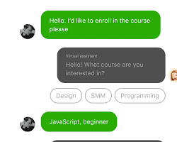 Изображение: Example chatbot conversation within JivoChat