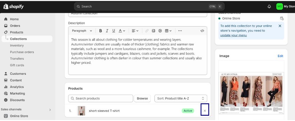 Remove Products from a Manual Collection on Shopify 3