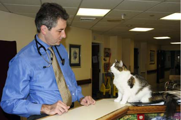 Oscar photographed with a doctor.