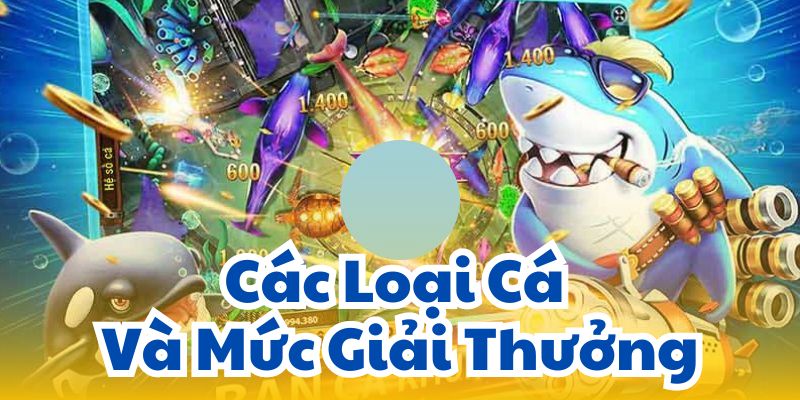 Các Loại Cá Và Mức Giải Thưởng