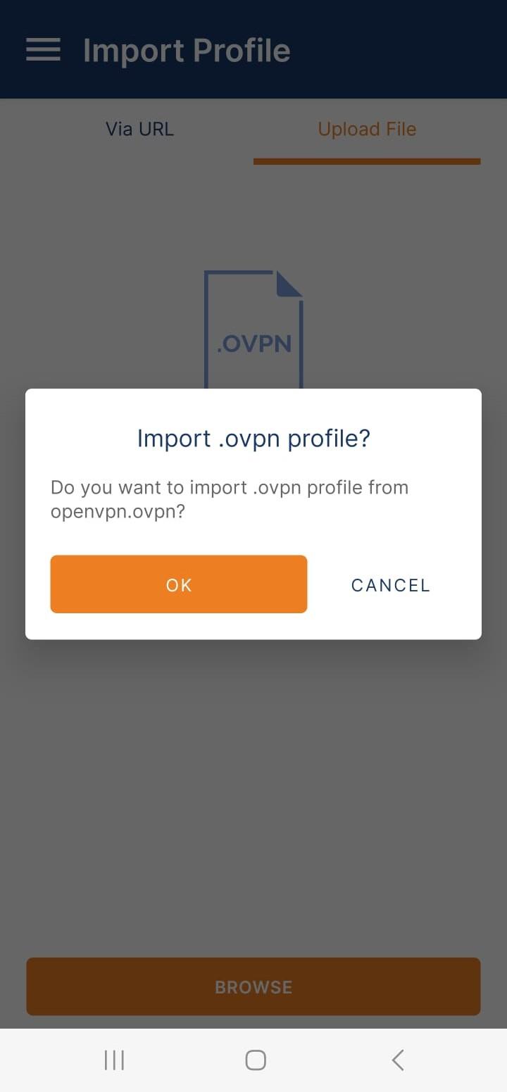 OpenVPN Connect Android app's import .ovpn profile screen.