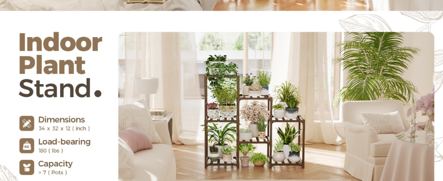 Indoor Plants for Arizona's Desert Climate
