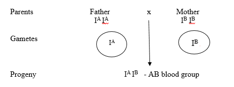 NCERT Solutions For Class 12 Biology Chapter 5-5