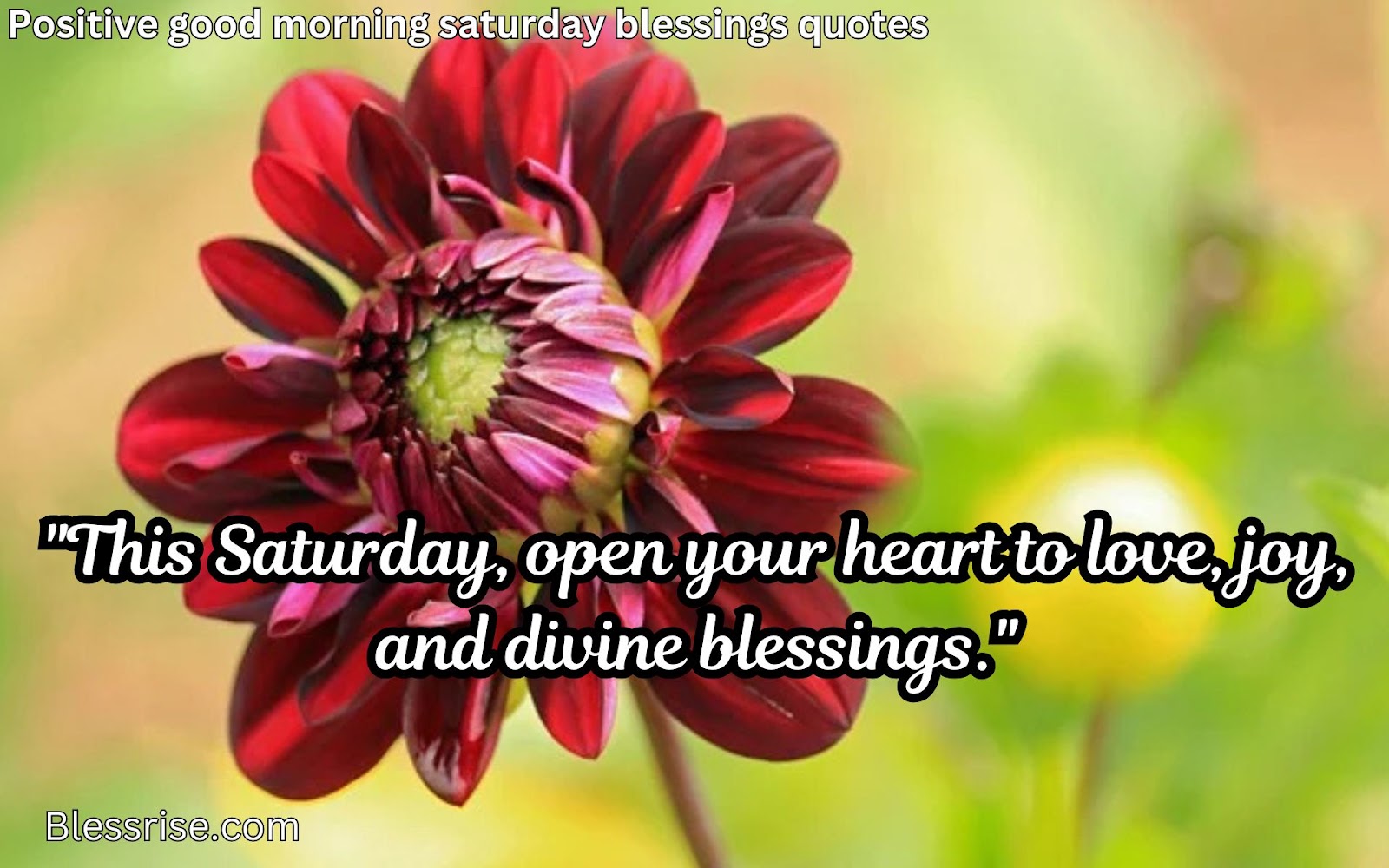 Grateful heart Saturday
