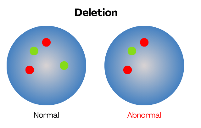 Illustration of a FISH deletion probe. 