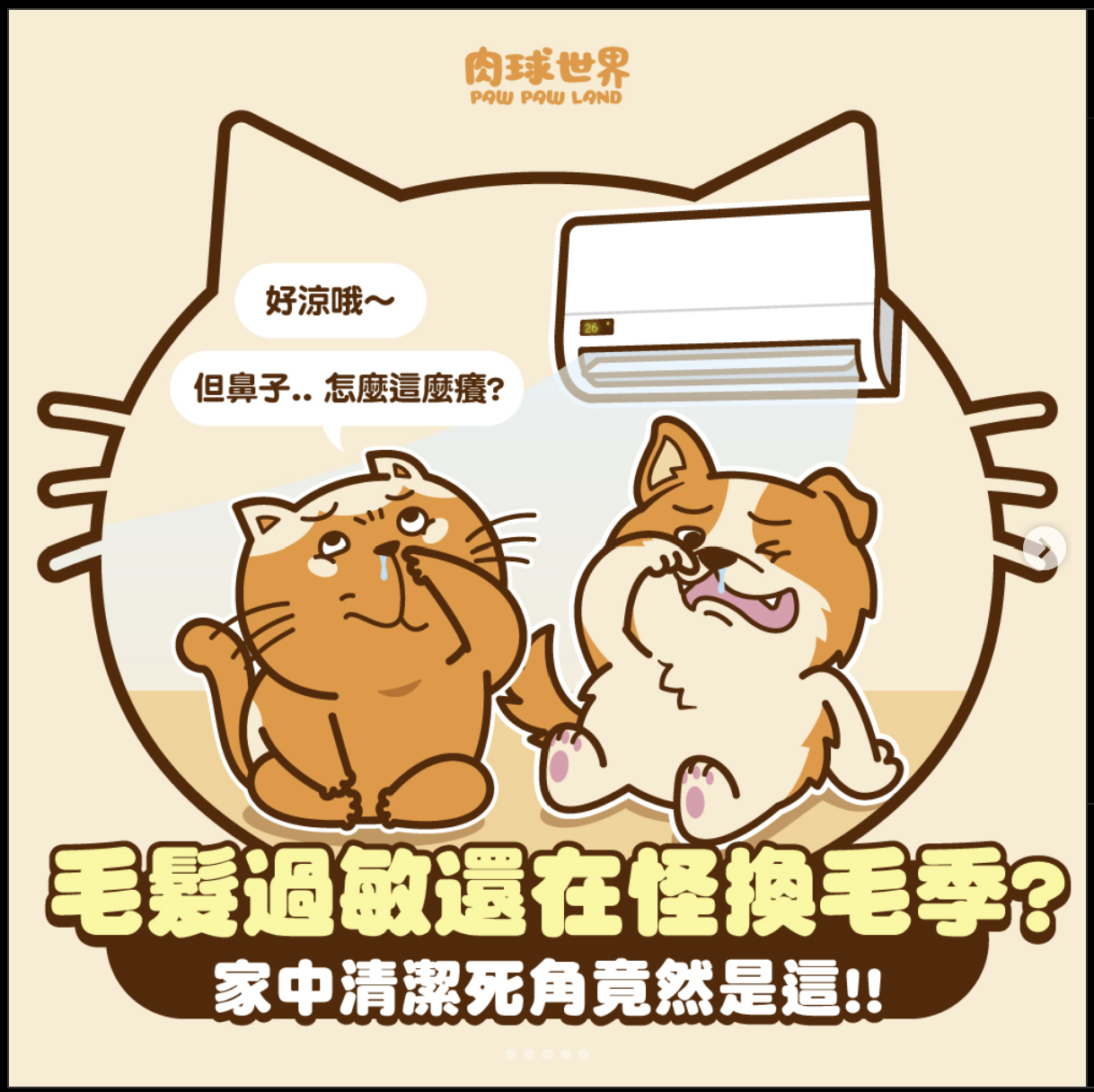 毛髮過敏還在怪貓咪換毛季?家中清潔死角竟然是這!