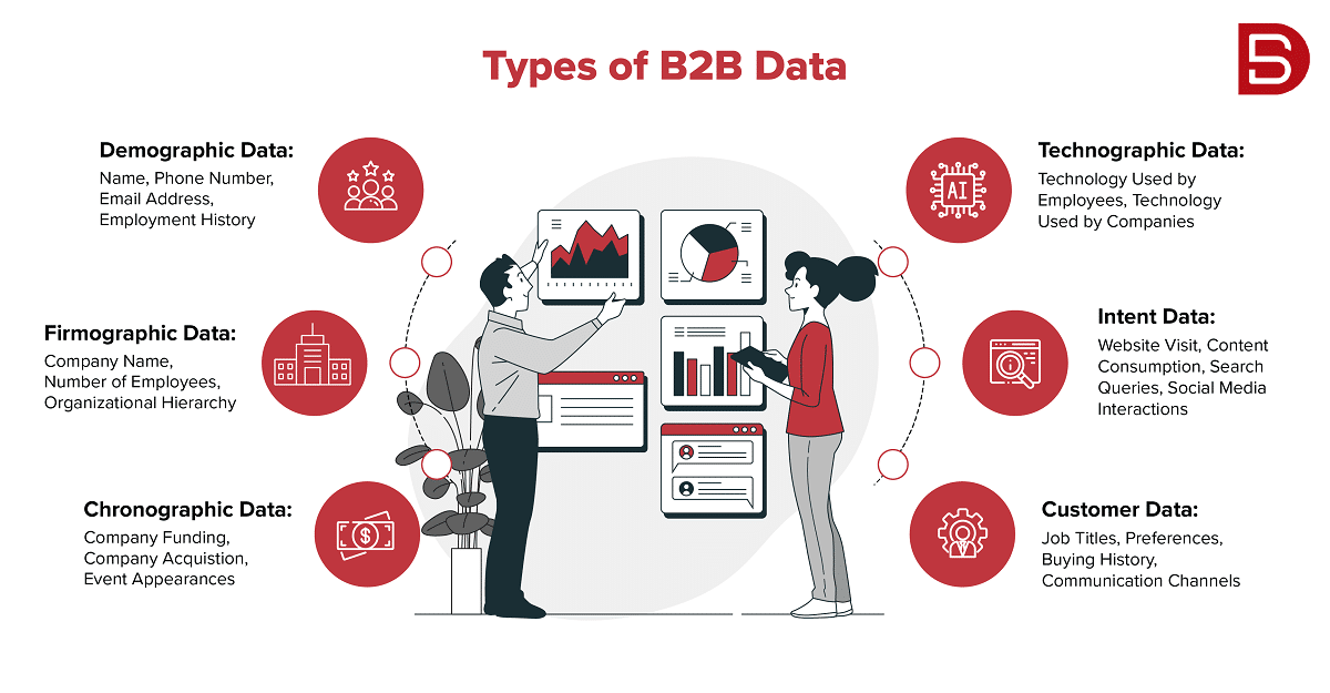 types of B2B data