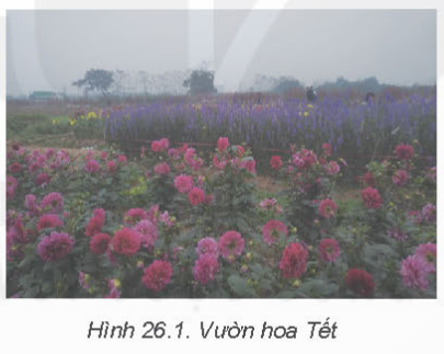 BÀI 26 - CÔNG CỤ TINH CHỈNH MÀU SẮC VÀ CÔNG CỤ CHỌN