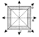 NCERT Solutions For Class 6 Maths Chapter 13 Symmetry 