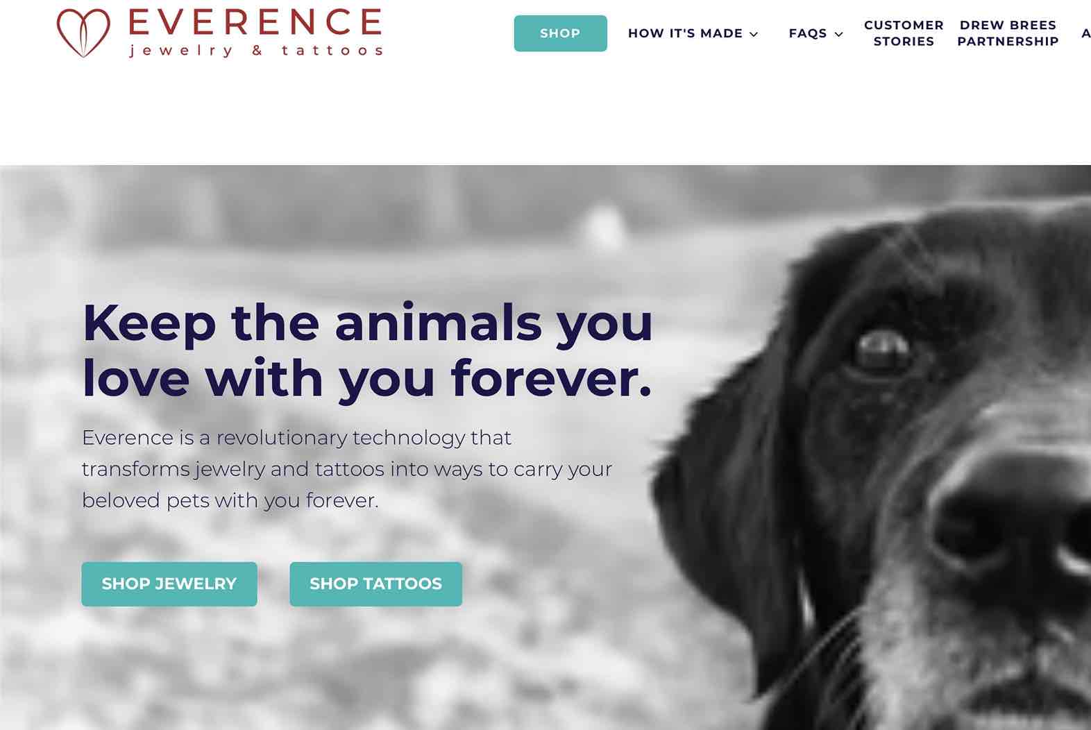 A screenshot of Everence as a pet brand looking influencers 