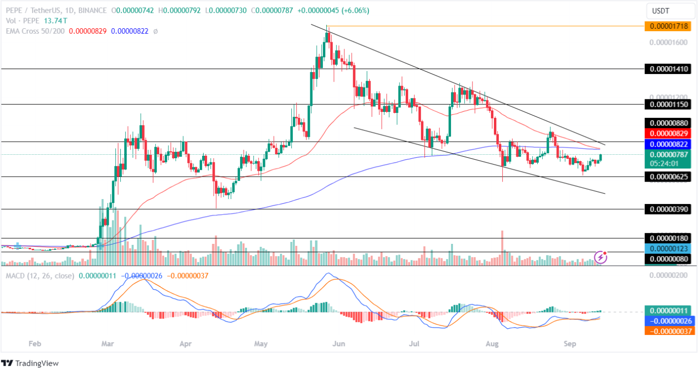 Memecoin'ler Süper Yükselişe Dönüyor! Piyasaya Hakim Olmak İçin En İyi 5 Token?