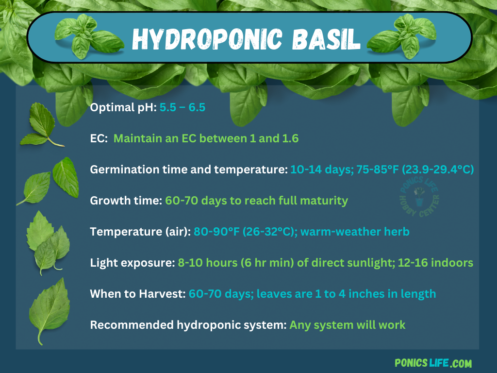 Hydroponic Basil: A Complete Indoor and Outdoor Grow Guide