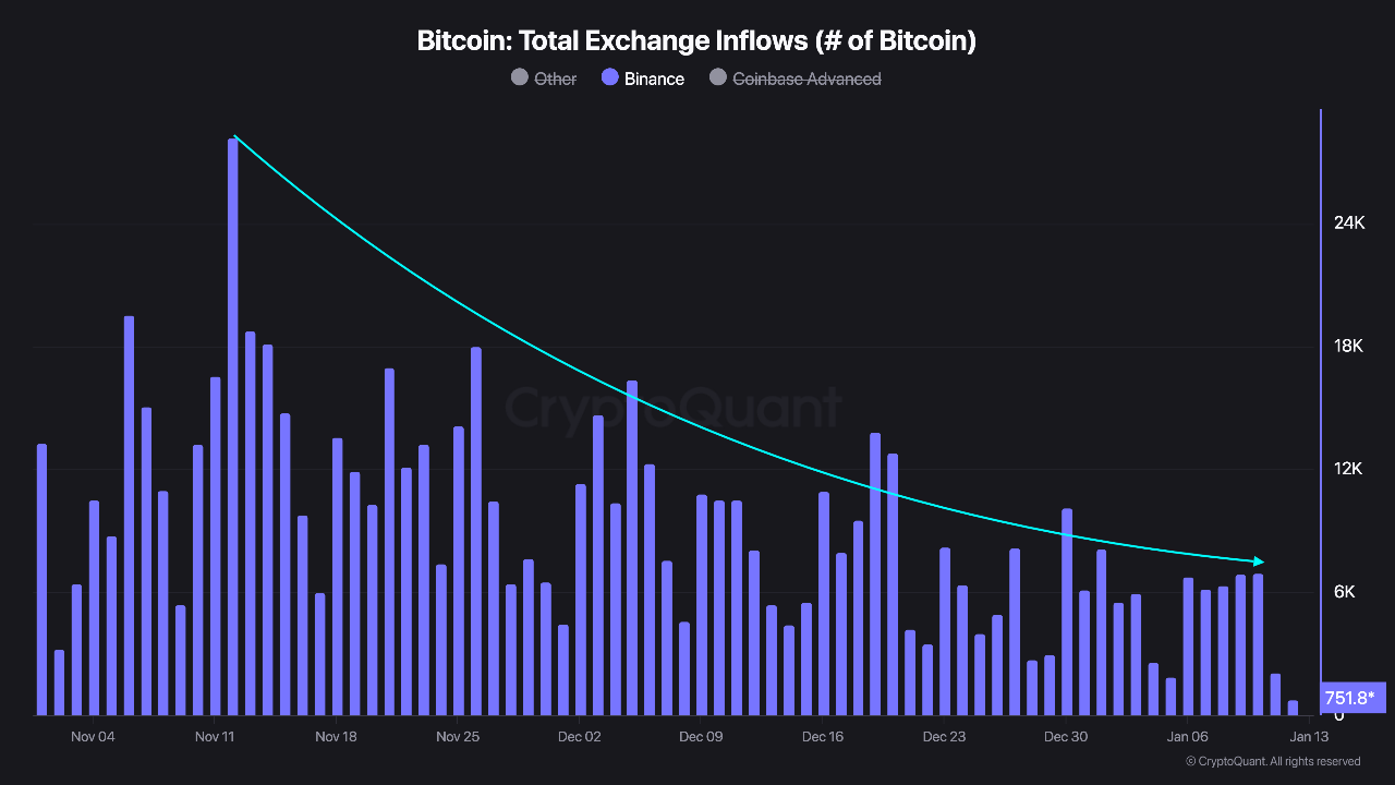 Weekly Bitcoin Outlook (13 Januari 2025)