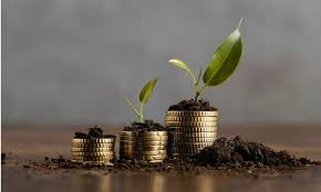 Best Direct Mutual Fund Investment Platform in India