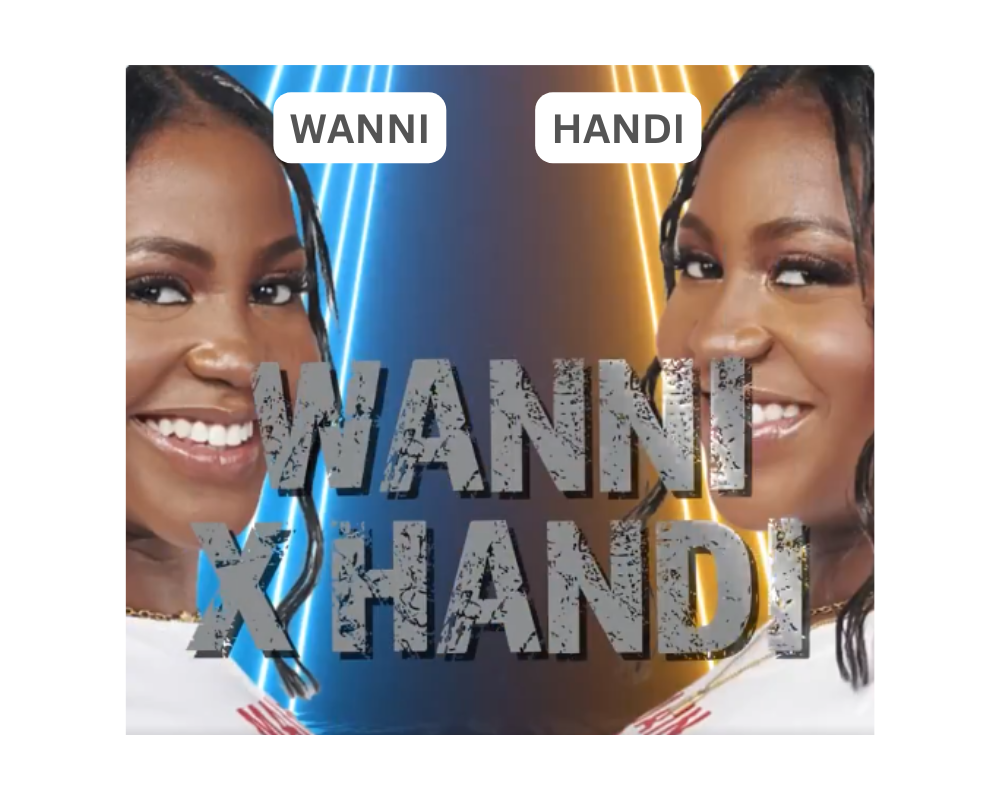 BBNaija Season 9 WannixHandi