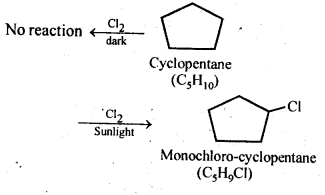 NCERT Solutions For Class 12 Chemistry Chapter 10 Haloalkanes and Haloarenes Intext Questions Q10