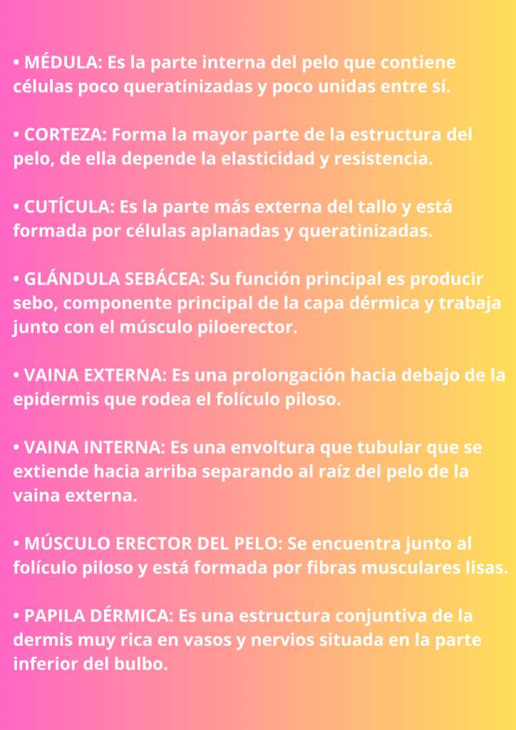 La imagen tiene un atributo ALT vacío; su nombre de archivo es Cartel-venta-de-postres-ilustrado-rosa-y-blanco-724x1024.png