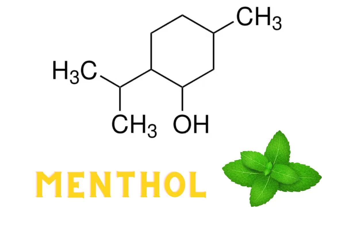 Menthol và Ethanol – Cảm giác mát lạnh và thư giãn