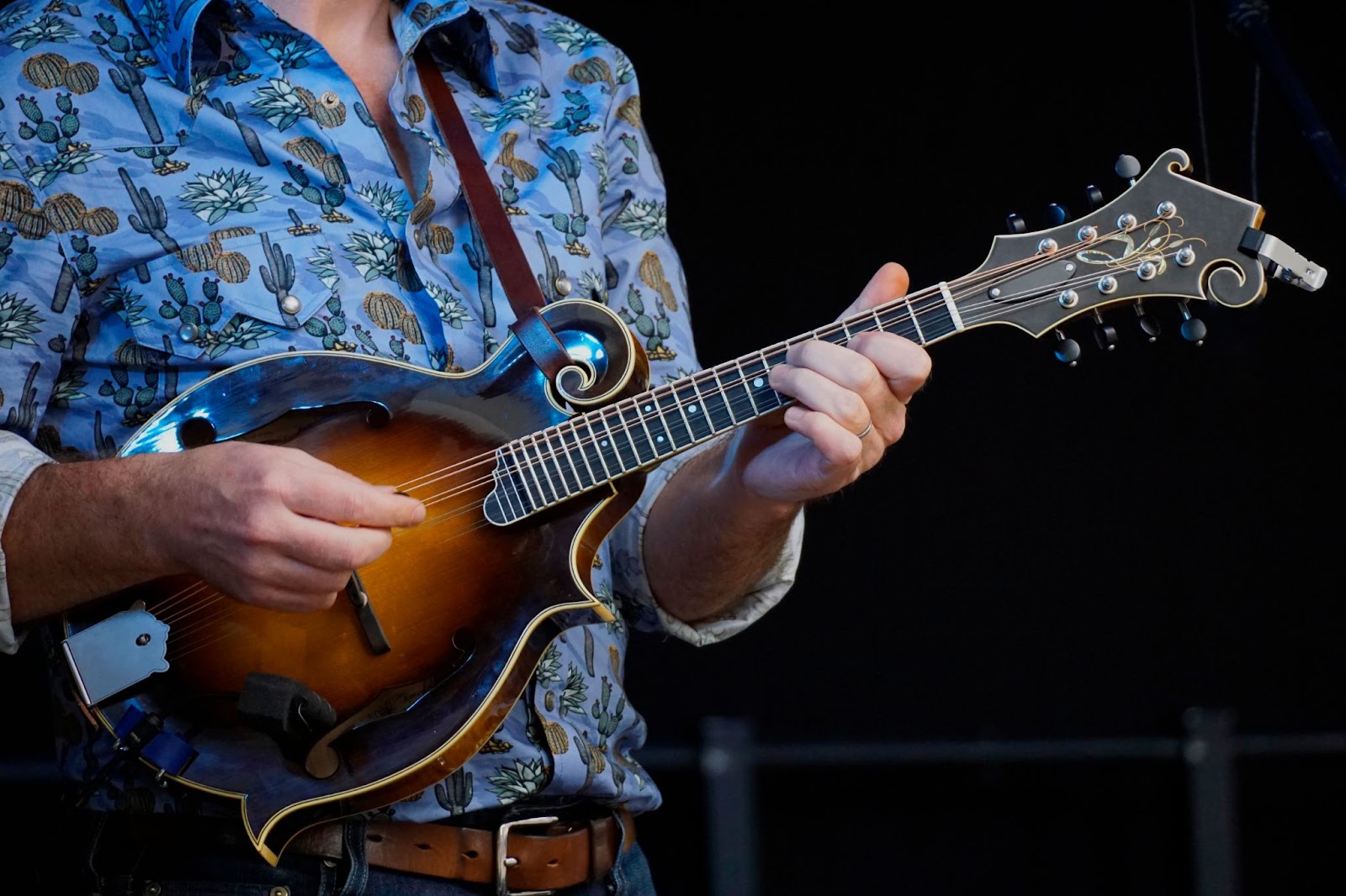 country bluegrass band