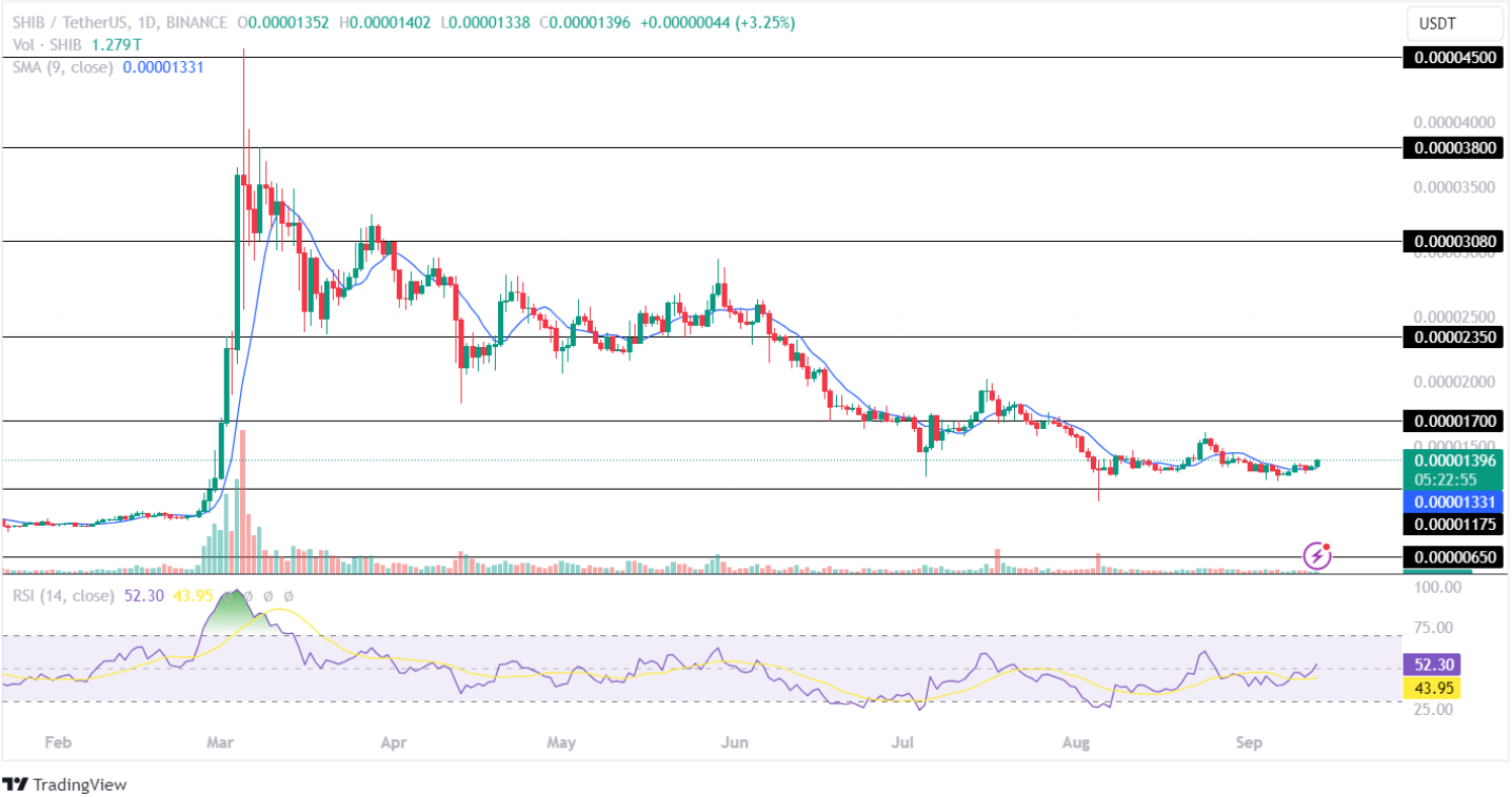 Memecoin'ler Süper Yükselişe Dönüyor! Piyasaya Hakim Olmak İçin En İyi 5 Token?