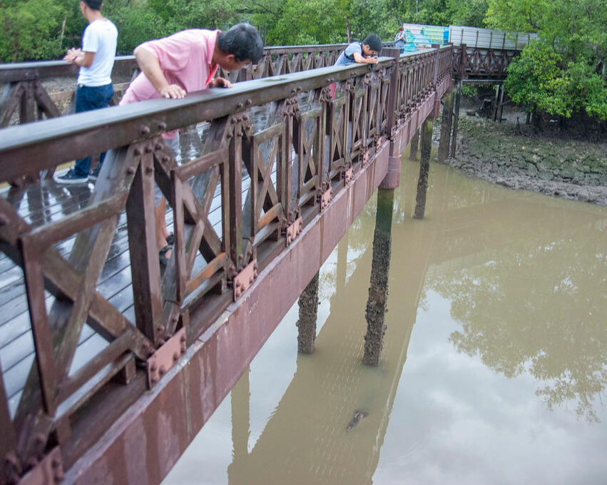 People standing on Tarcoles bridge.