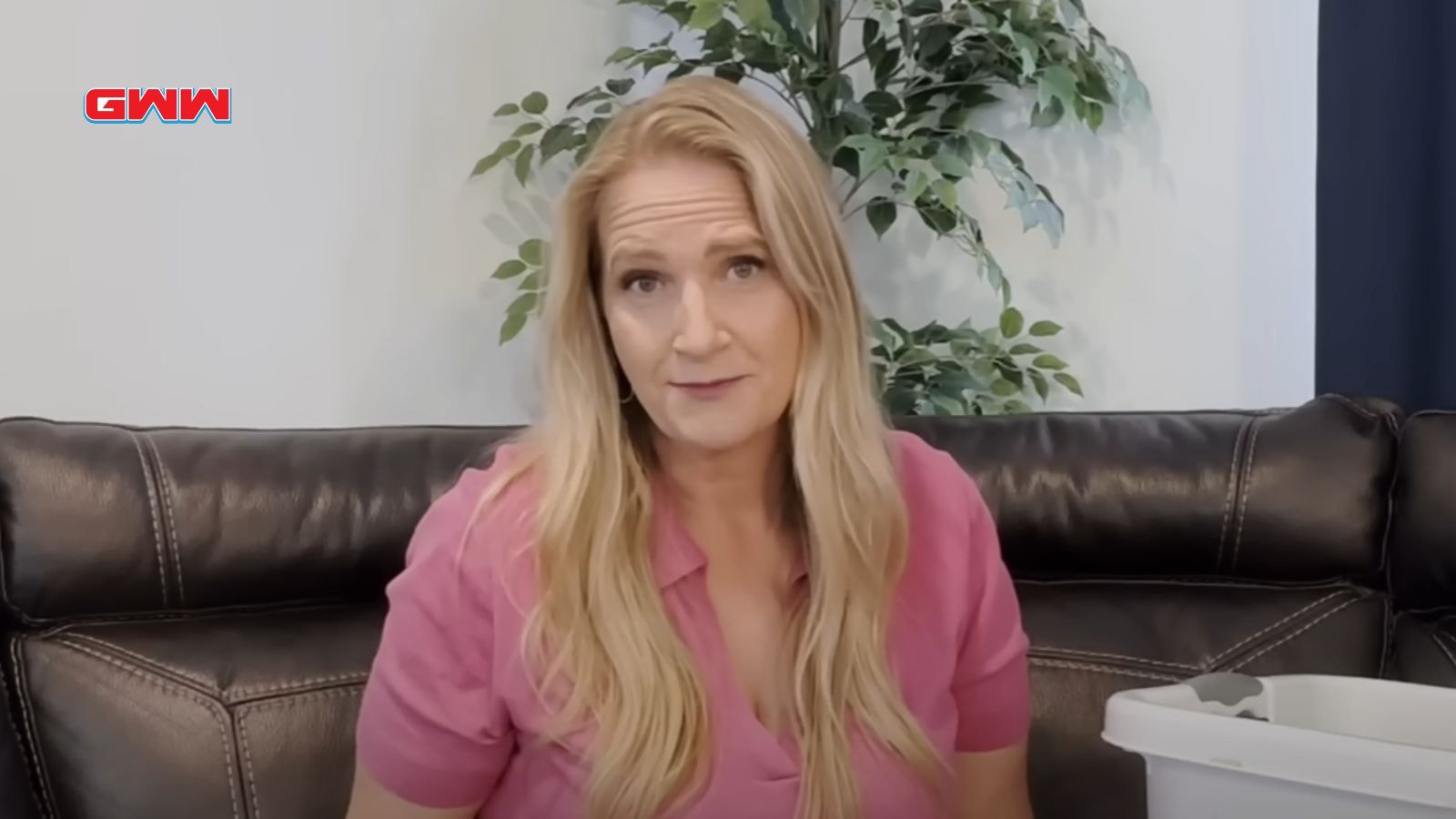 Christine Brown in pink shirt sits on couch with plant in background.