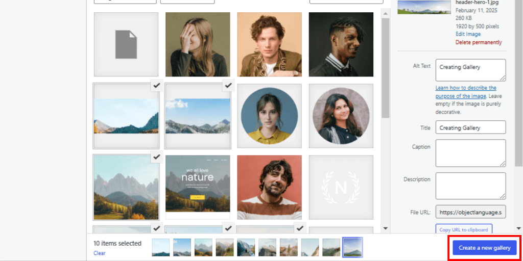 Create New Gallery