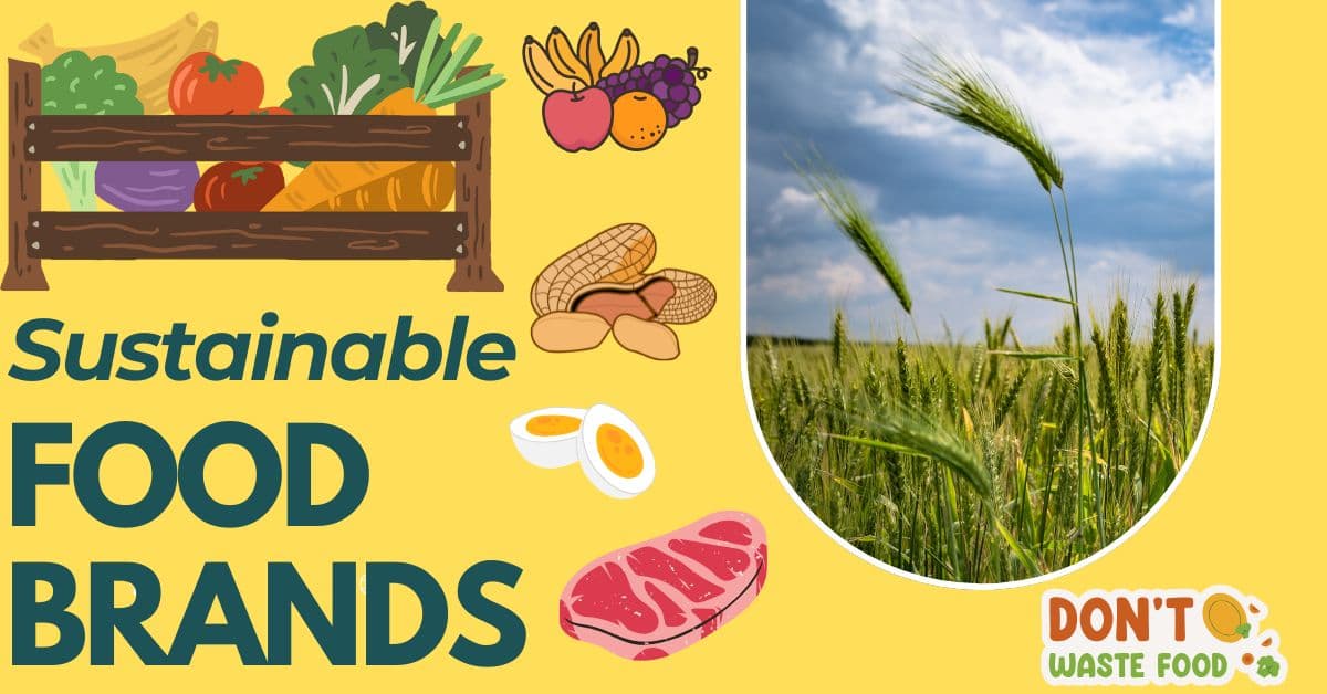 A variety of fresh, organic fruits and vegetables displayed in reusable, eco-friendly packaging, symbolizing sustainable food brands and eco-conscious eating.