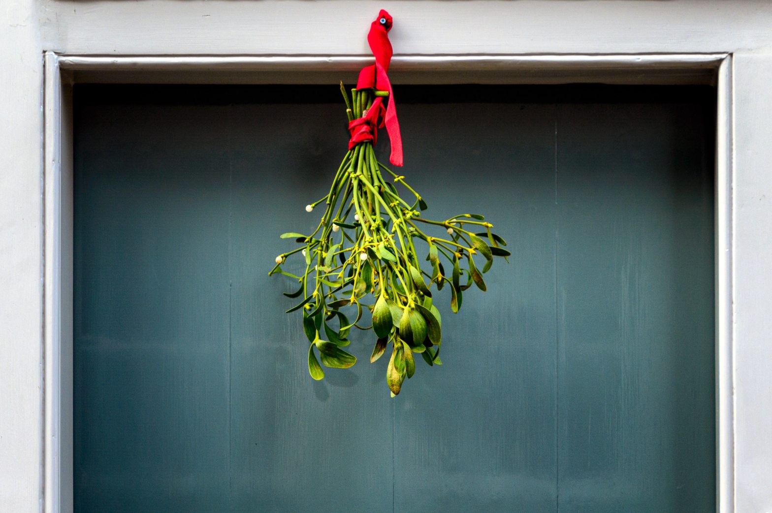 Why Do People Put Up Mistletoe at Christmas? - IrishMyths