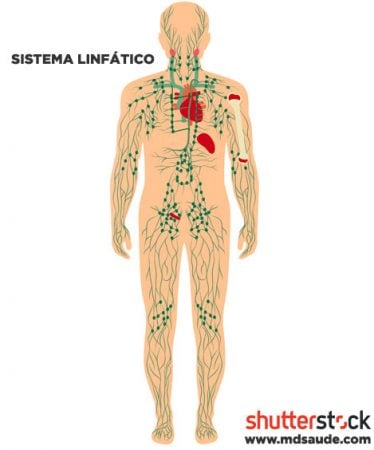 Sistema linftico e linfonodos