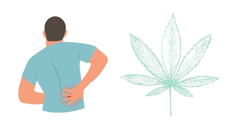 Types of Chronic Pain THC Oil Can Help With