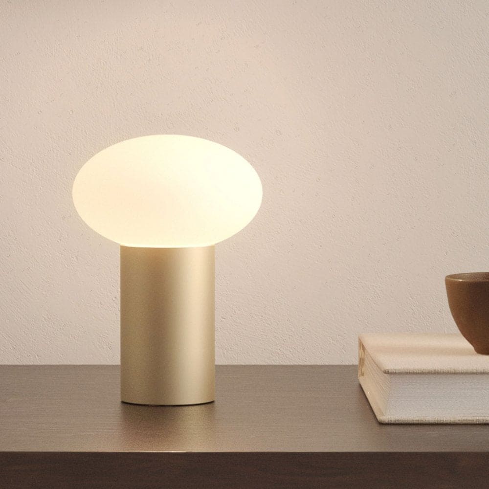 rechargeable light