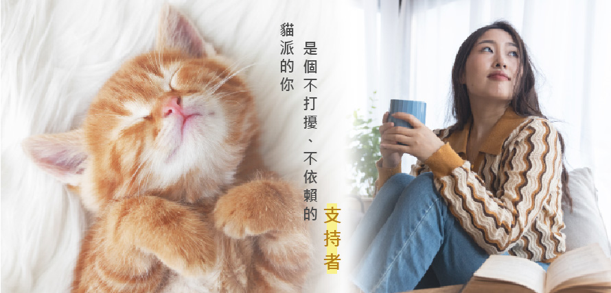 貓派的特點與個性-芭娜娜毛孩良品