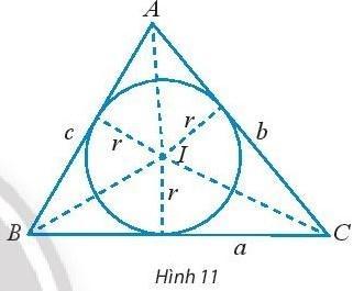 BÀI 2. ĐỊNH LÝ COSIN VÀ ĐỊNH LÝ SINKHỞI ĐỘNG Làm thế nào để tính độ dài cạnh chưa biết của hai tam giác dưới đây?Đáp án chuẩn:1. ĐỊNH LÍ CÔSIN TRONG TAM GIÁCBài 1: a. Cho tam giác ABC không phải là tam giác vuông với góc A  nhọn và CB . Vẽ đường cao CD và đặt tên các độ dài như trong Hình 1.Đáp án chuẩn:Bài 2: Tính các cạnh và các góc chưa biết của tam giác ABC trong Hình 4. Đáp án chuẩn:BC  16,834; B  70°45’; C  47°15’Bài 3: Tính khoảng cách giữa hai điểm ở hai đầu của một hồ nước. Biết từ một điểm cách hai đầu hồ lần lượt là 800 m và 900 m người quan sát nhìn hai điểm này dưới một góc 70° (Hình 5).Đáp án chuẩn:978,5147m.2. ĐỊNH LÍ SIN TRONG TAM GIÁCBài 1: Đáp án chuẩn:a.b) Bài 2: Tính các cạnh và các góc chưa biết của tam giác MNP trong Hình 8.Đáp án chuẩn:P = 34°; MN = NP = 22; MP  ≈ 36,5Bài 3: Trong một khu bảo tồn, người ta xây dựng một tháp canh và hai bồn chứa nước A, B để phòng hỏa hoạn. Từ tháp canh, người ta phát hiện đám cháy và số liệu đưa về như hình 9. Nên dẫn nước từ bồn chứa A hay B để dập tắt đám cháy nhanh hơn?Đáp án chuẩn:Nên dẫn nước từ bồn chứa A 3. CÁC CÔNG THỨC TÍNH DIỆN TÍCH TAM GIÁCBài 1: Cho tam giác như Hình 10.a. Viết công thức tính diện tích S của tam giác ABC theo a và hab. Tính ha theo b và sinC.Đáp án chuẩn:Bài 2: Cho tam giác ABC có BC = a, AC = b, AB = c và (1; r) là đường tròn nội tiếp tam giác (Hình 11).Đáp án chuẩn:Bài 3: Tính diện tích tam giác ABC và bán kính đường tròn ngoại tiếp tam giác ABC trong các trường hợp sau:a. Các cạnh b = 14, c = 35 và A=60° b. Cách cạnh a = 4, b = 5, c = 3.Đáp án chuẩn:Bài 4: Tính diện tích một cánh buồm hình tam giác. Biết cánh buồm đó có chiều dài cạnh là 3,2m và hai góc kề cạnh đó có số đo là 48° và 105° (Hình 12)Đáp án chuẩn:S = 8,08 (m2)BÀI TẬP CUỐI SGK