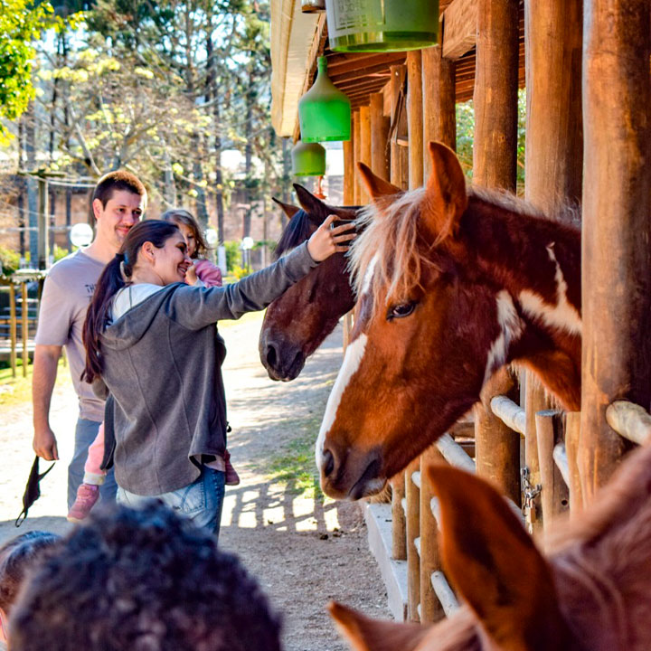 Grupo de jovens interagindo com cavalos em um ambiente ao ar livre, em um haras ou parque de love em um dia ensolarado, com árvores ao fundo. Pessoas sorrindo, tocando e acariciando os animais, explorando uma experiência de contato com cavalos.