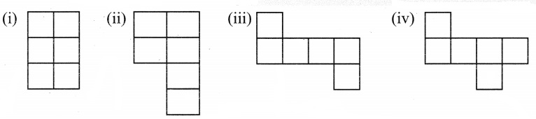 CBSE Class 6 Maths Mensuration Worksheets 2