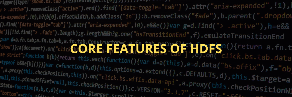 Core Features of HDFS