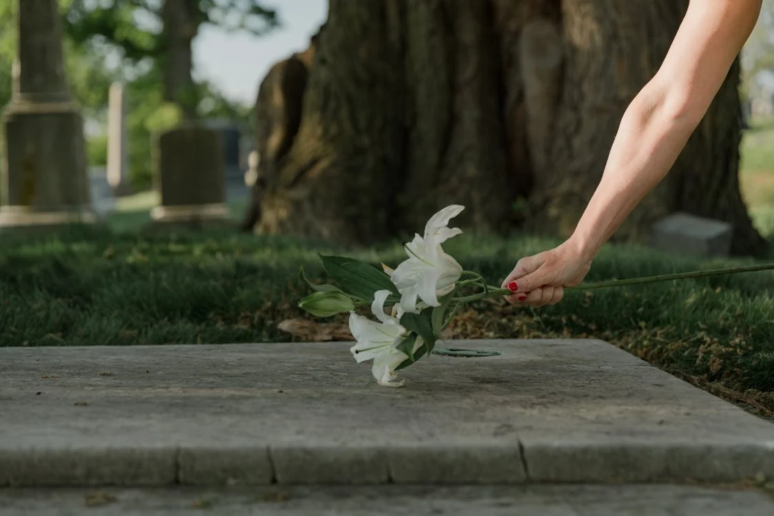 Person's Hand Offering Lily Flowers