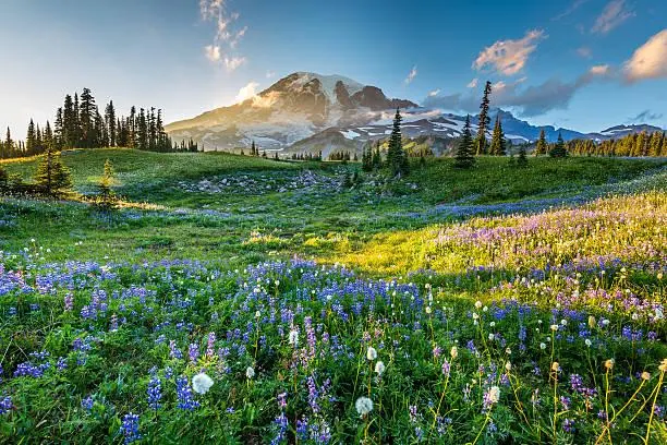 15 Epic Views of Nature in Landscape Photography, nature views, epic landscapes, nature, landscape, travel inspiration, scenic world